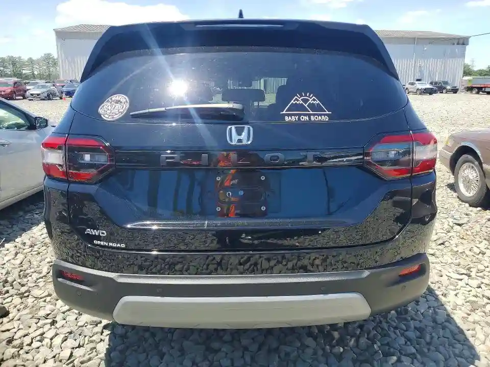 5FNYG1H44RB012193 2024 HONDA PILOT-5