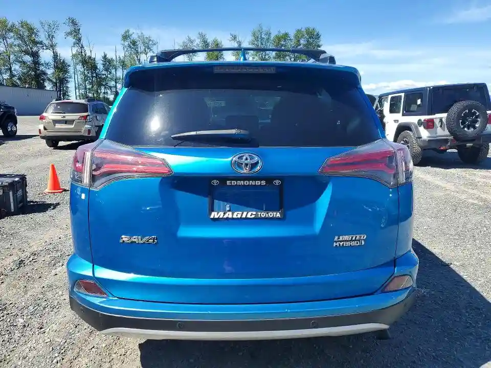 JTMDJREV6GD053568 2016 TOYOTA RAV4-5
