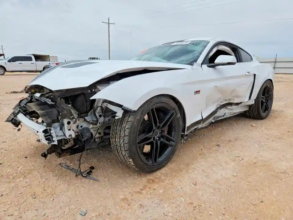 1FA6P8CF5K5151982 2019 FORD MUSTANG-0