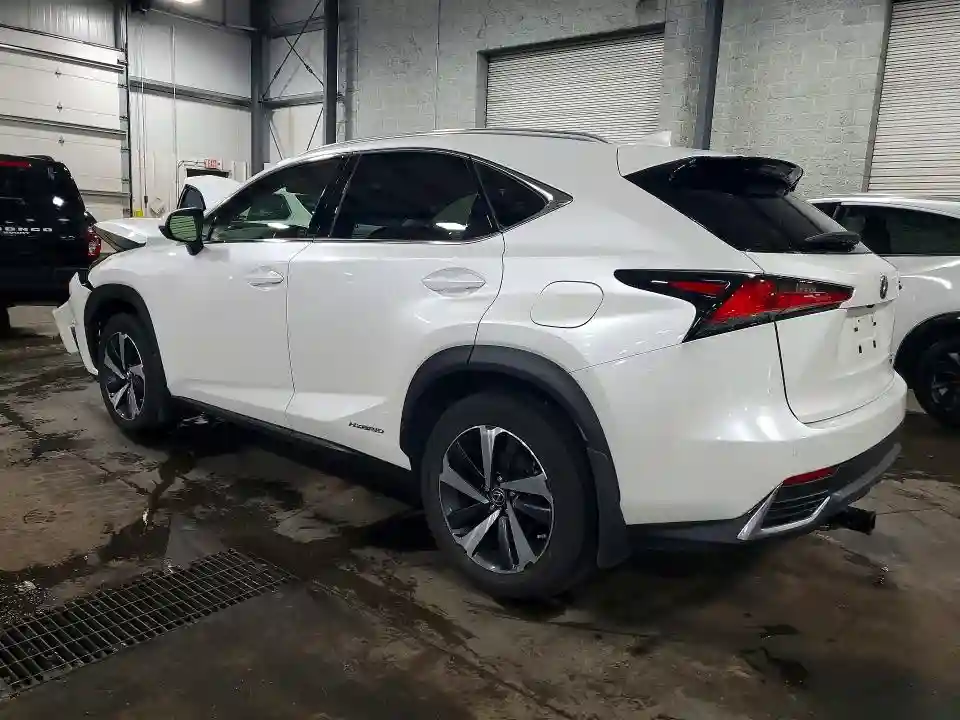 JTJGJRDZ4L5004145 2020 LEXUS NX-1