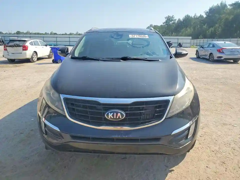 KNDPC3A67G7831636 2016 KIA SPORTAGE-4