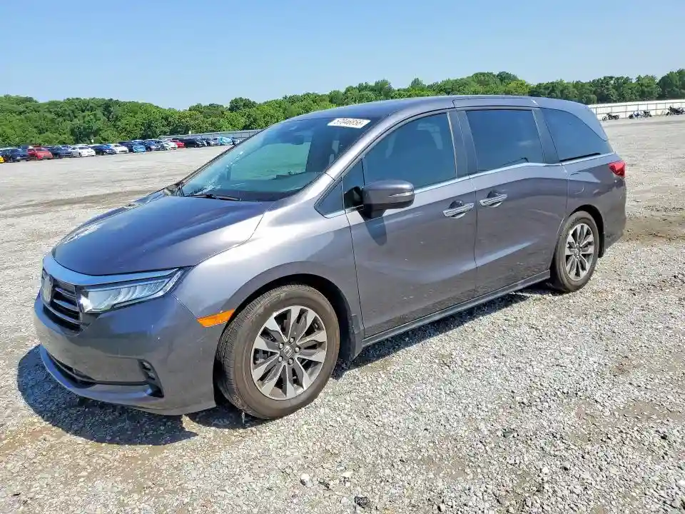 5FNRL6H64RB074207 2024 HONDA ODYSSEY-0