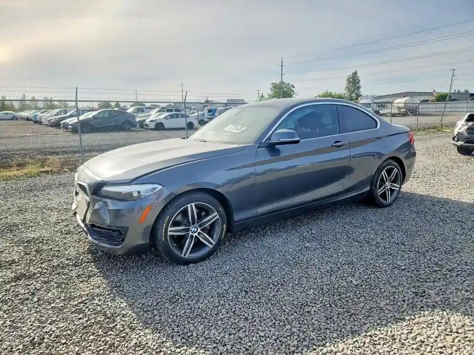 WBA2H9C50HV641917 2017 BMW 2 SERIES-0