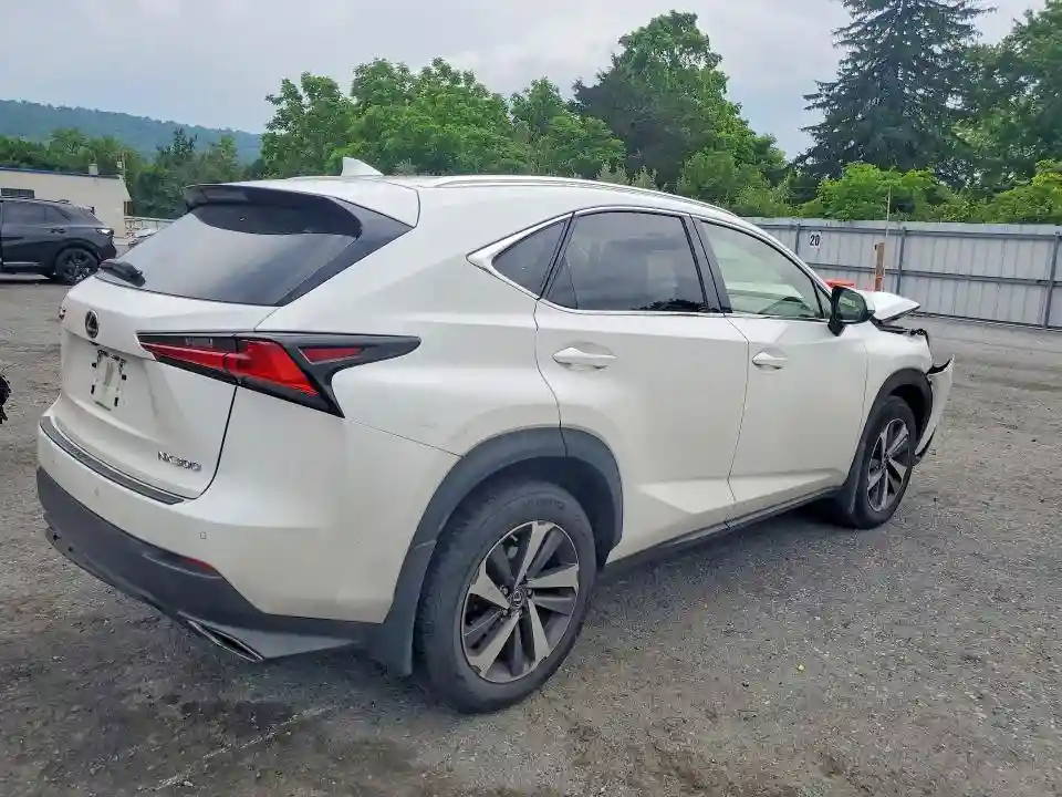JTJGARDZ6L5017978 2020 LEXUS NX-2