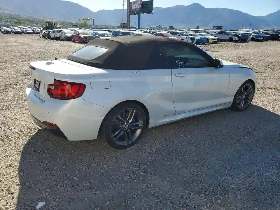 WBA1K5C51FV473885 2015 BMW 2 SERIES-2