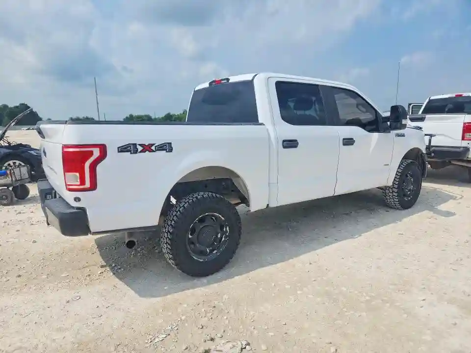 1FTEW1EG1FKE51869 2015 FORD F150-2