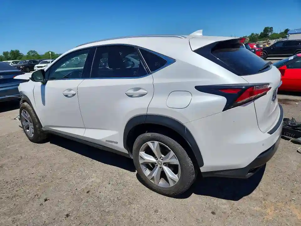 JTJBJRBZ1H2052451 2017 LEXUS NX-1