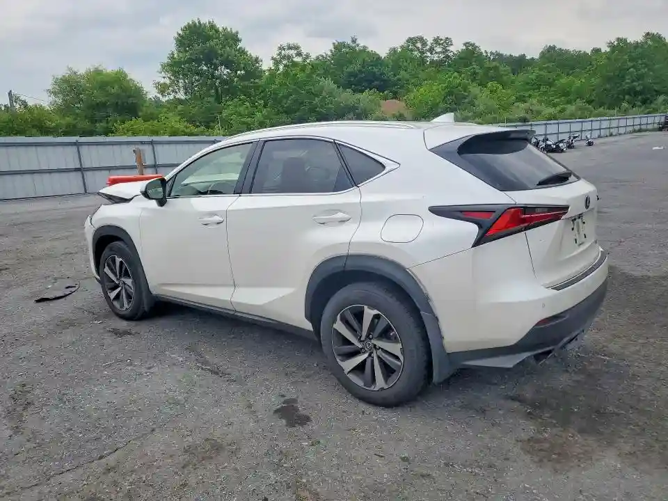 JTJGARDZ6L5017978 2020 LEXUS NX-1