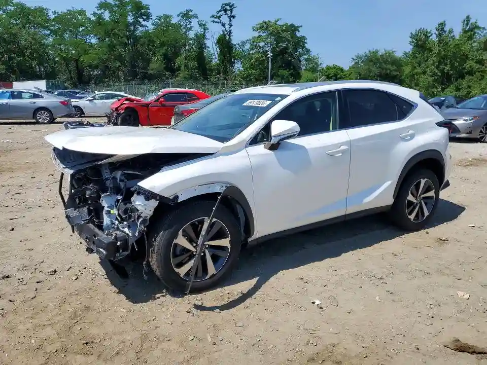 JTJGARDZ2M5019700 2021 LEXUS NX-0