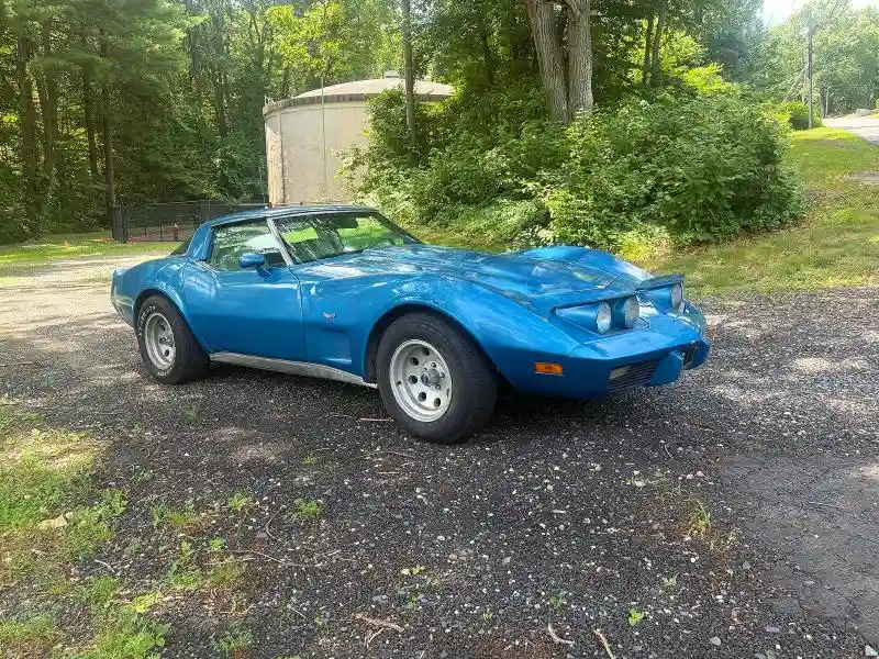 1Z8749S437854 1979 CHEVROLET CORVETTE-3