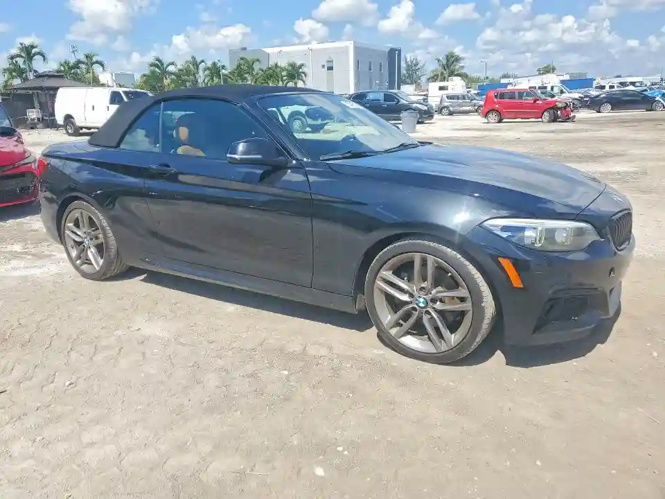 WBA2M7C59JVD51782 2018 BMW 2 SERIES-3