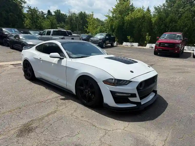 1FA6P8CF4K5146692 2019 FORD MUSTANG-0