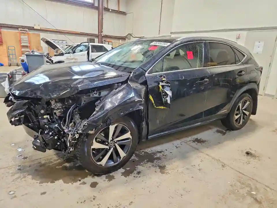 JTJHJRDZ4L2145030 2020 LEXUS NX-0