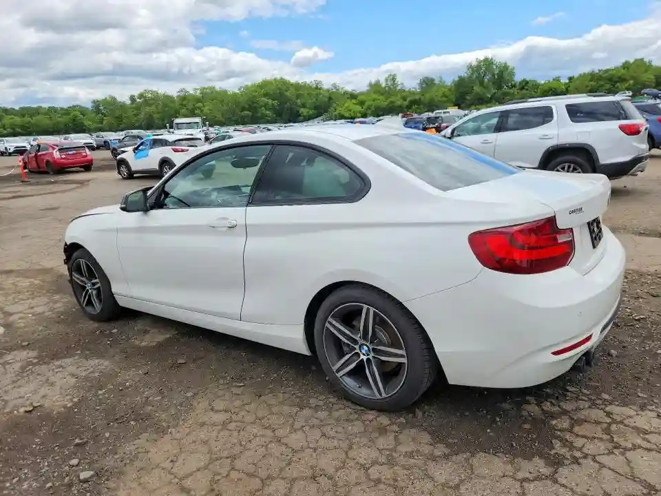 WBA2F9C38HV984222 2017 BMW 2 SERIES-1
