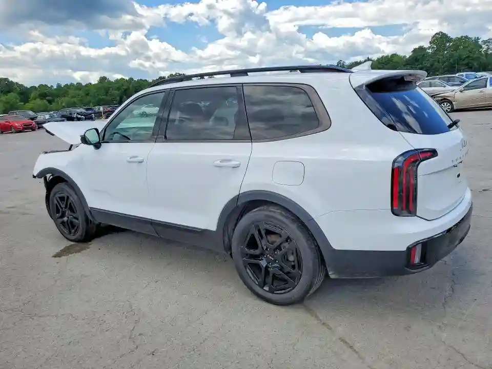 5XYP5DGC3RG436016 2024 KIA TELLURIDE-1