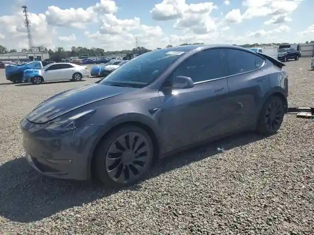 5YJYGDEF5MF251686 2021 TESLA MODEL Y-0