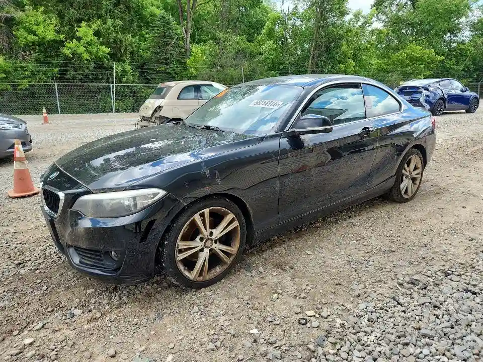 WBA1F7C53FVX96237 2015 BMW 2 SERIES-0