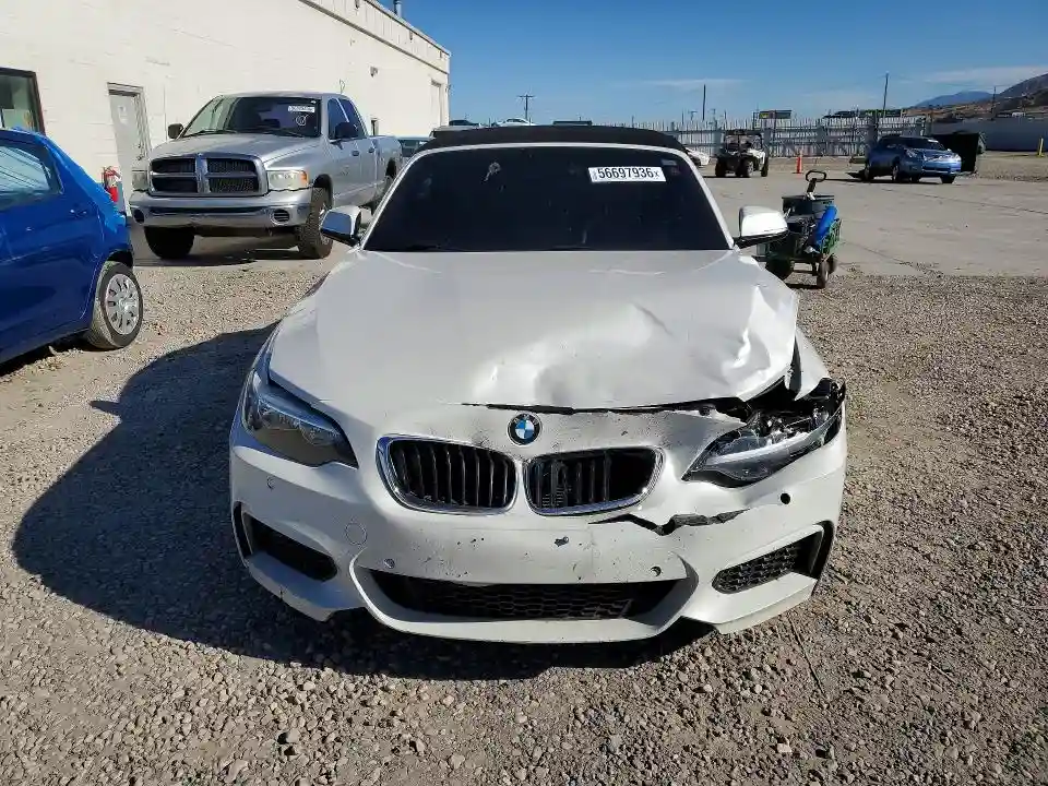 WBA1K5C51FV473885 2015 BMW 2 SERIES-4