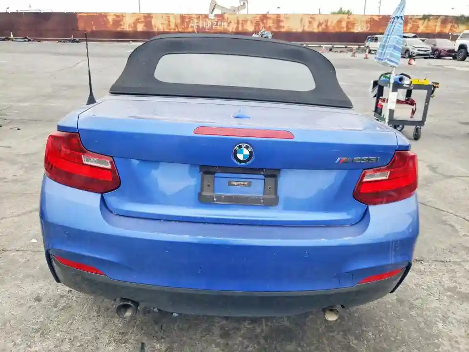 WBA1M1C58FV393521 2015 BMW M2-5