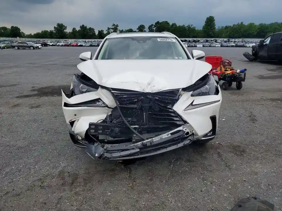 JTJGARDZ6L5017978 2020 LEXUS NX-4