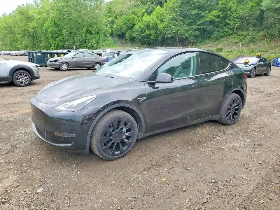 7SAYGDEE7RA243958 2024 TESLA MODEL Y-0