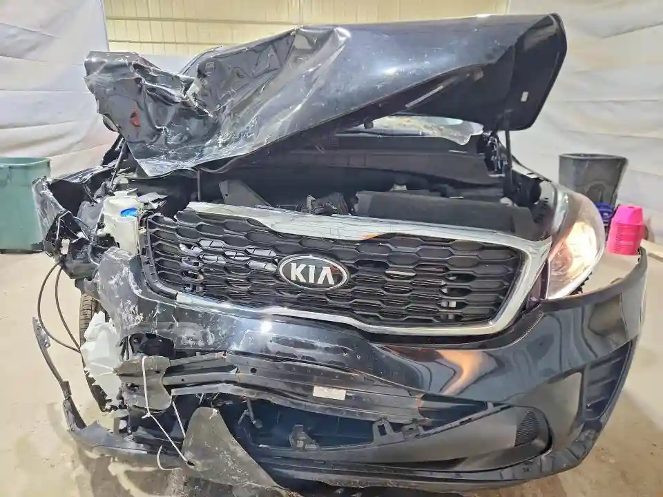 5XYPGDA37LG652476 2020 KIA SORENTO-4