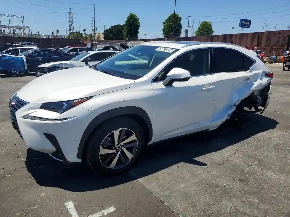 JTJGARBZ1M5030979 2021 LEXUS NX-0