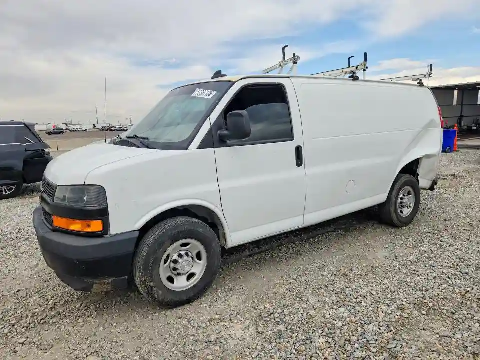 1GCWGAFB0K1317729 2019 CHEVROLET EXPRESS-0