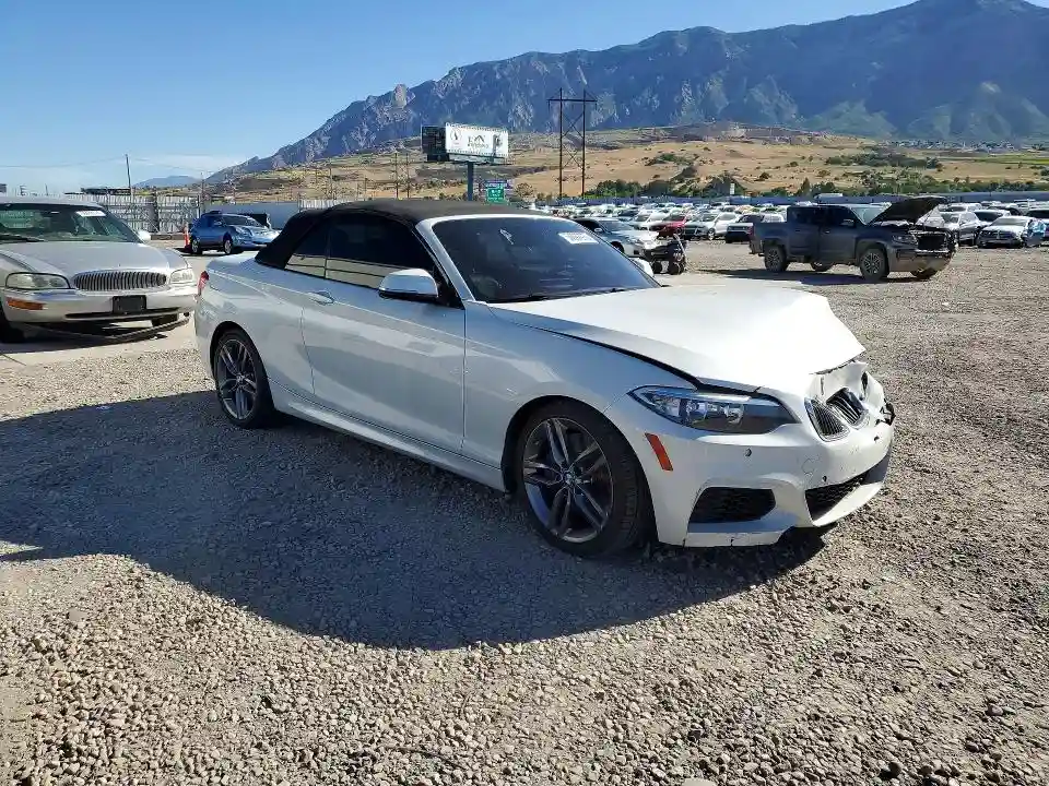 WBA1K5C51FV473885 2015 BMW 2 SERIES-3
