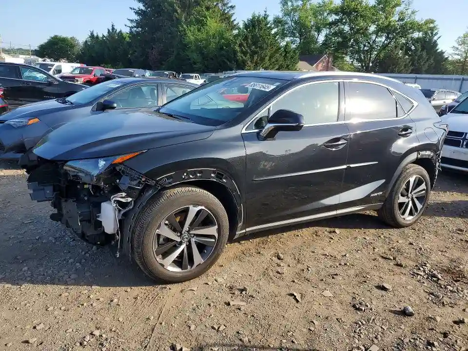 JTJGJRDZ2M2160638 2021 LEXUS NX-0