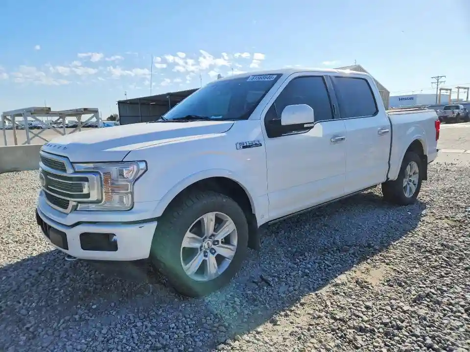 1FTEW1EG5KFA16369 2019 FORD F150-0