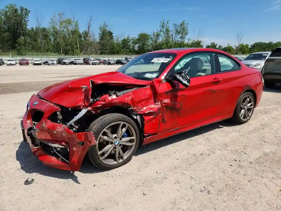 WBA1J9C53GV696473 2016 BMW M2-0