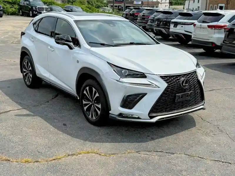 JTJSARDZ1L5006364 2020 LEXUS NX-3