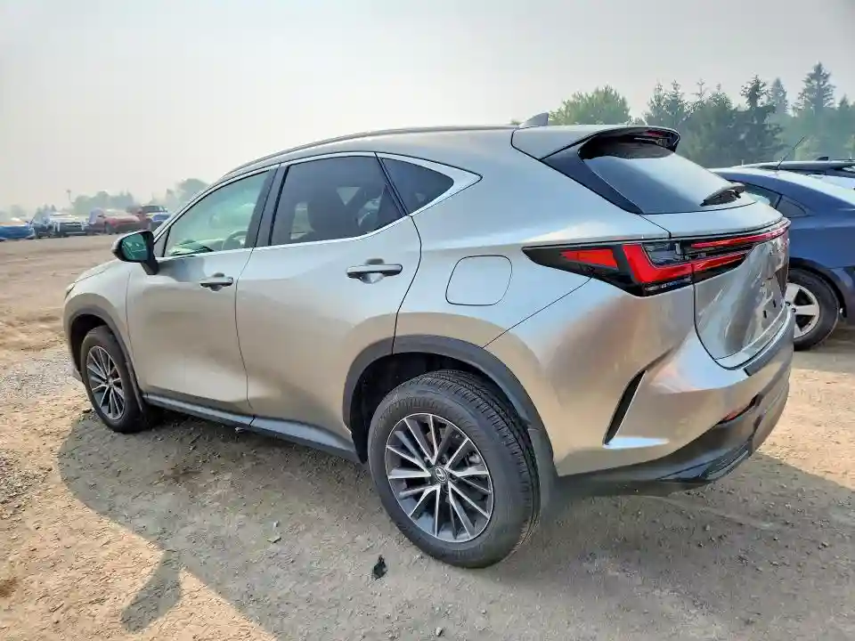 2T2GKCEZ2RC028513 2024 LEXUS NX-1