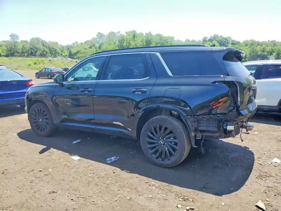 KM8R7DGE2SU925978 2025 HYUNDAI PALISADE-1