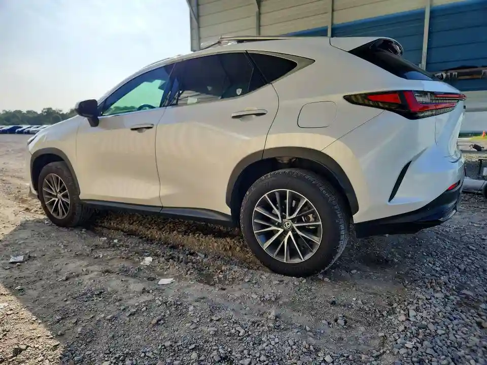 2T2GGCEZ8SC077254 2025 LEXUS NX-1