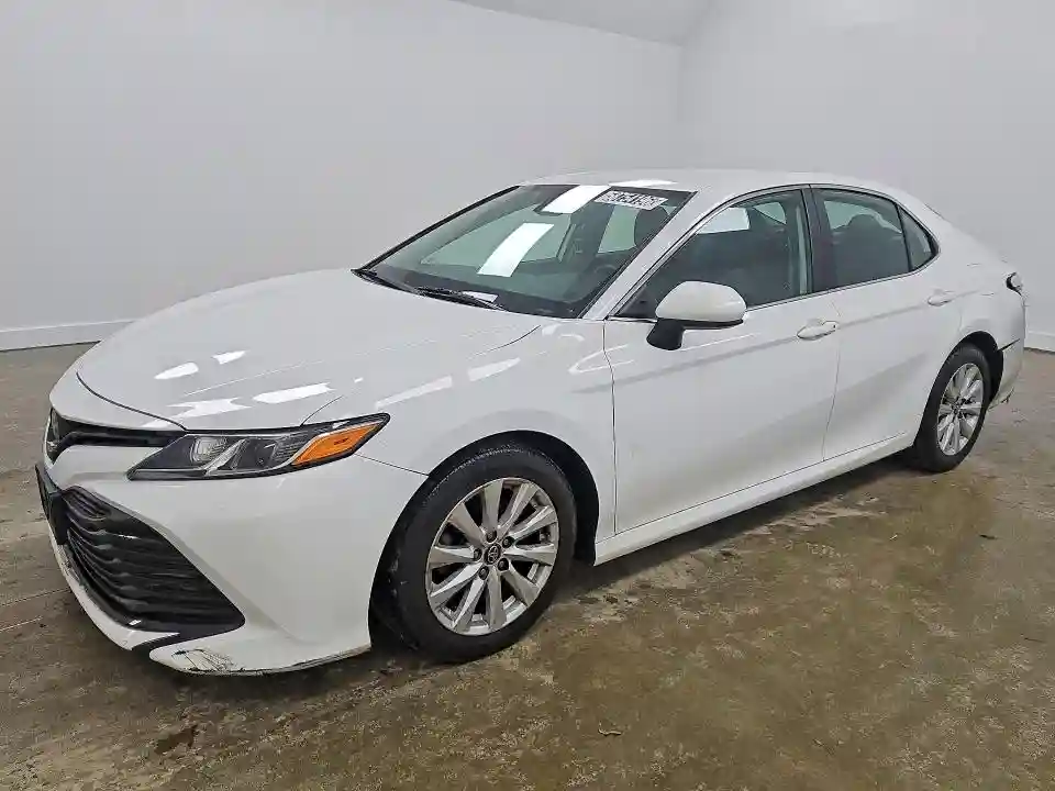 4T1B11HK0KU253232 2019 TOYOTA CAMRY-0