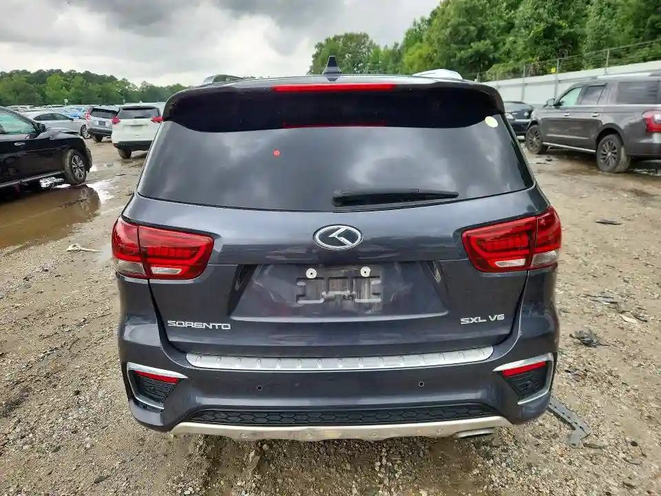 5XYPK4A56KG479399 2019 KIA CARNIVAL L-5
