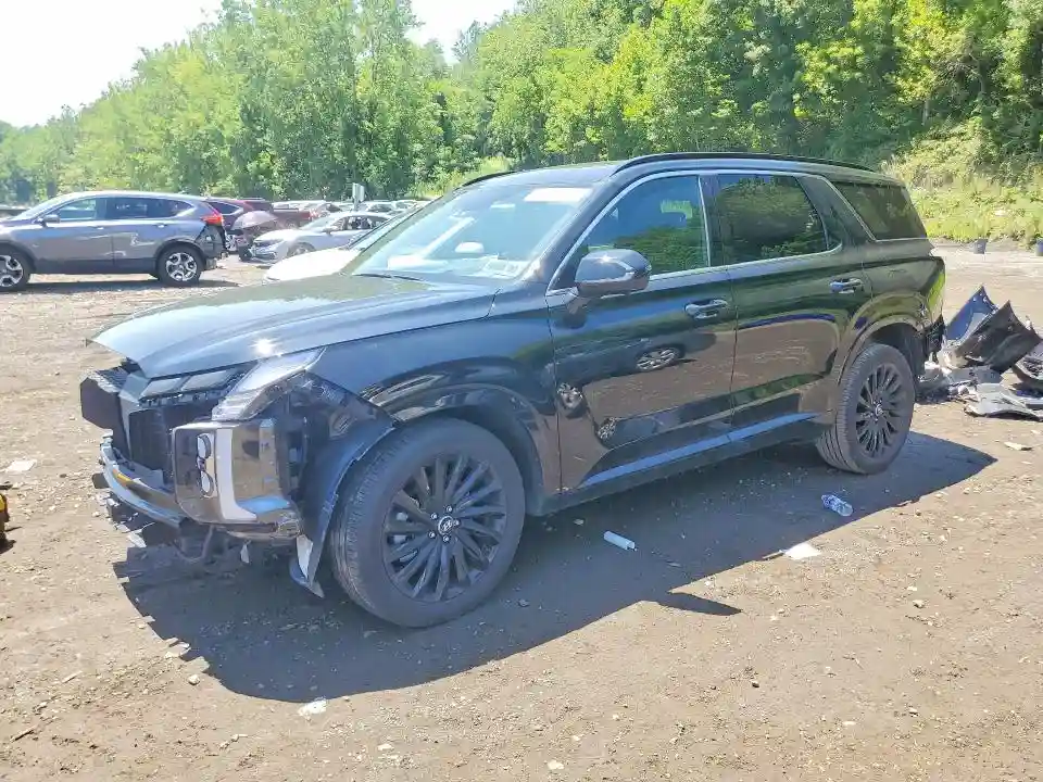 KM8R7DGE2SU925978 2025 HYUNDAI PALISADE-0