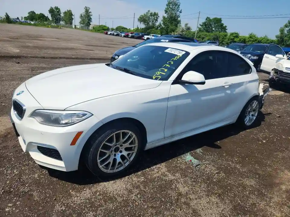 WBA1G9C50GV726575 2016 BMW 2 SERIES-0
