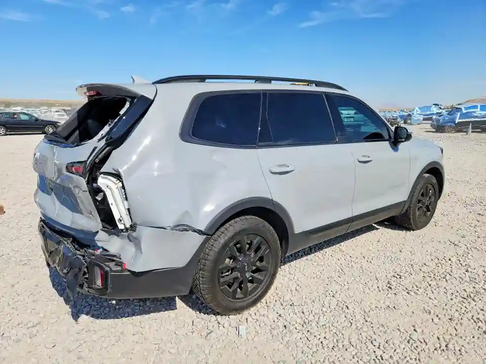 5XYP5DGC4RG479876 2024 KIA TELLURIDE-2