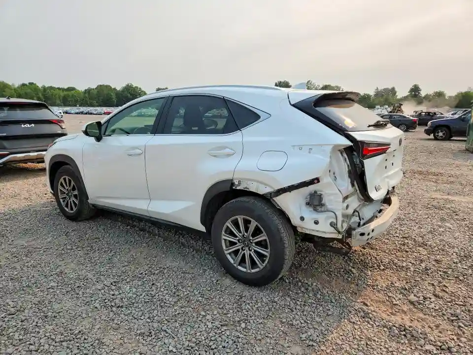 JTJBARBZXK2210163 2019 LEXUS NX-1
