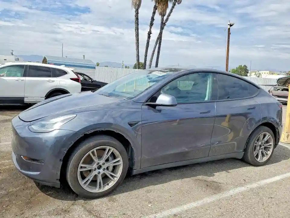 5YJYGDEEXLF019834 2020 TESLA MODEL Y-0
