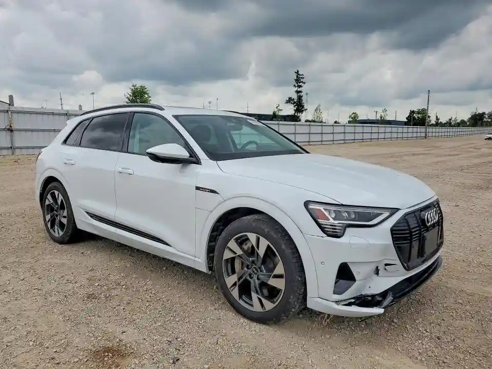 WA1AAAGE0MB010699 2021 AUDI E-TRON-3