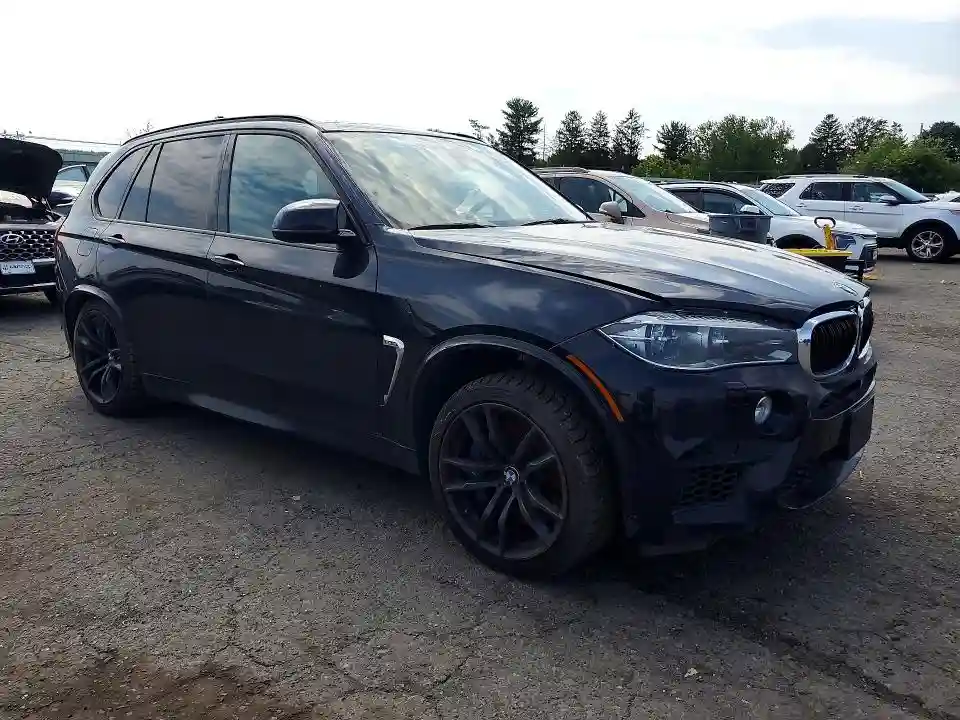 5YMKT6C58G0R77866 2016 BMW X5-3