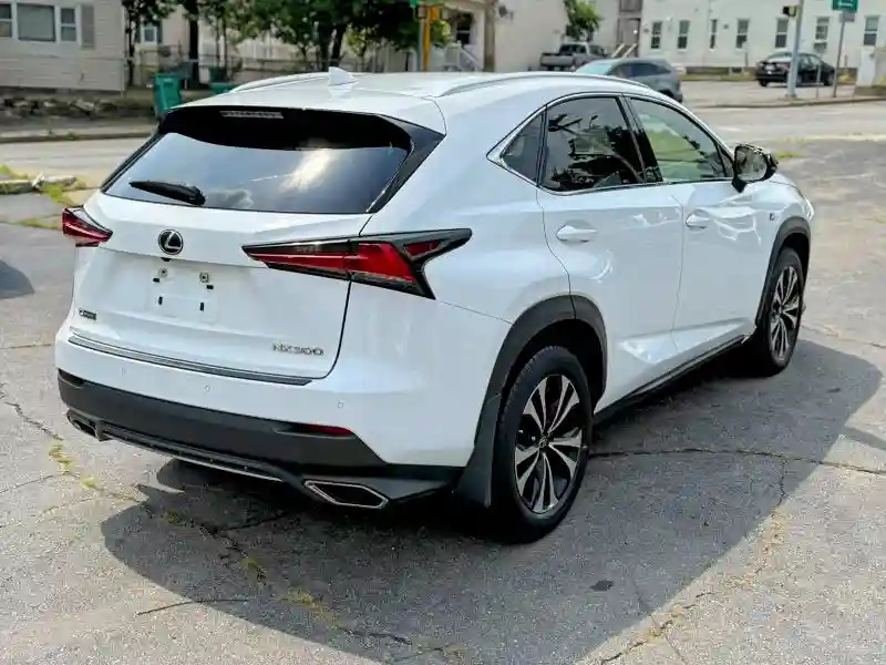 JTJSARDZ1L5006364 2020 LEXUS NX-2