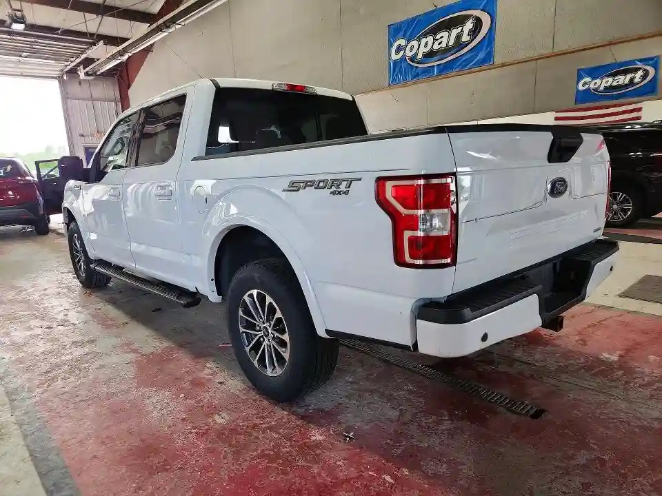 1FTEW1EPXKFB14491 2019 FORD F150-1