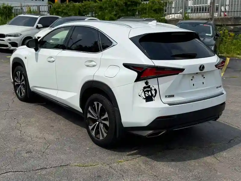 JTJSARDZ1L5006364 2020 LEXUS NX-1