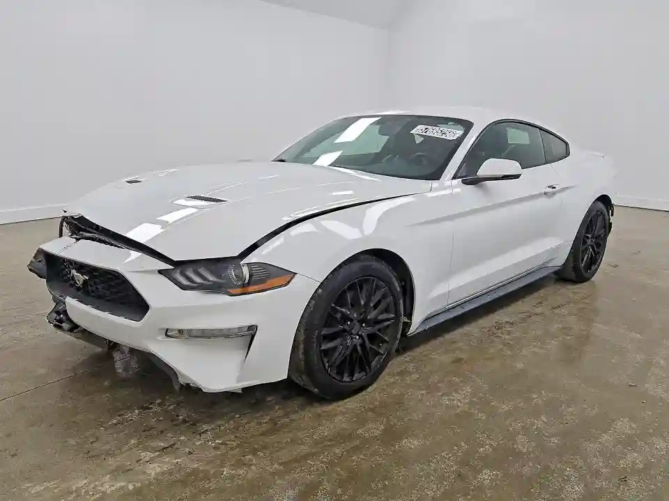 1FA6P8TH4K5162134 2019 FORD MUSTANG-0