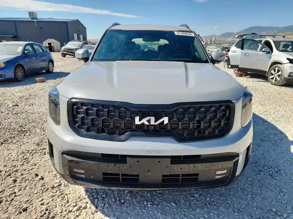5XYP5DGC4RG479876 2024 KIA TELLURIDE-4
